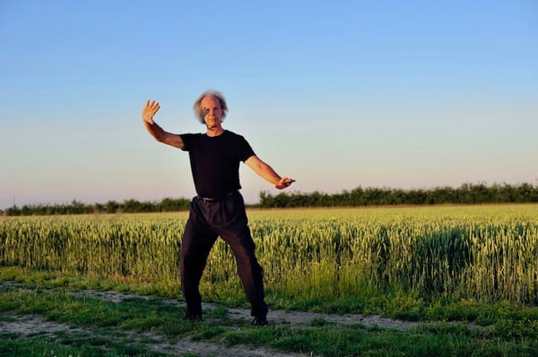 Passages d'un état à un autre par le tai chi chuan