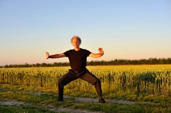 Qi - souffle, énergie - en tai chi chuan : quelques réflexions