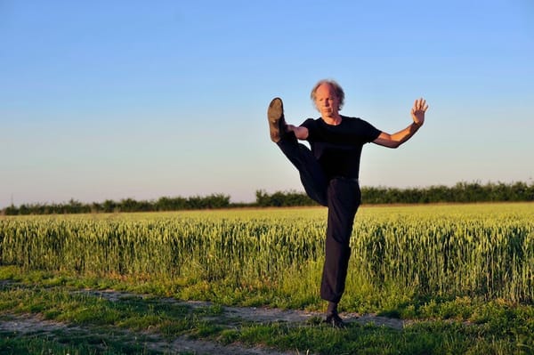 Souplesse, enracinement et ordonnancement par le tai chi chuan