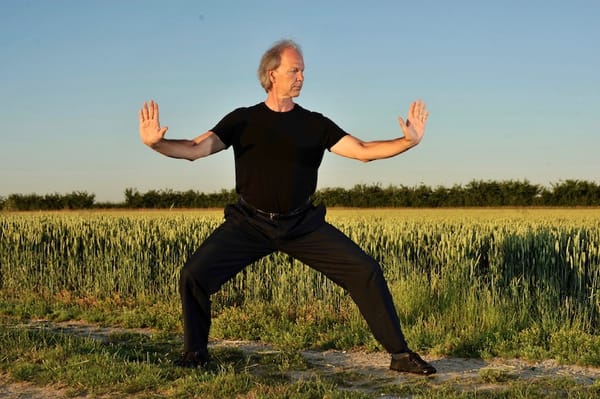 Géométrie, rite et combat dans le tai chi chuan