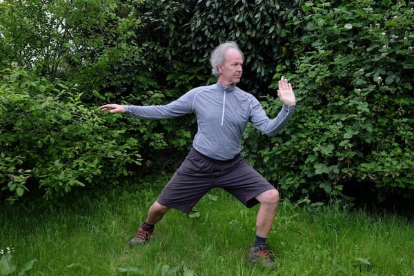 Dao tai chi taijiquan eric caulier 