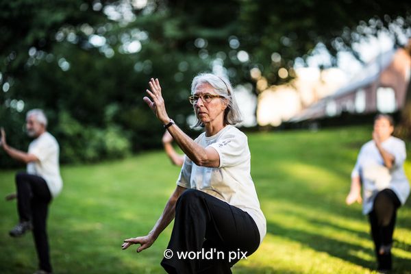 Tai chi : balises pour un développement soutenable